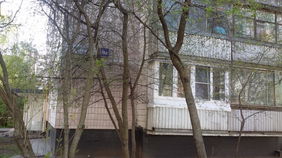 Однокомнатная квартира на улице Родионова в Химках. Дом